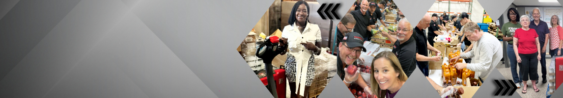 Carolina Handling Season of service with receipts of forklifts